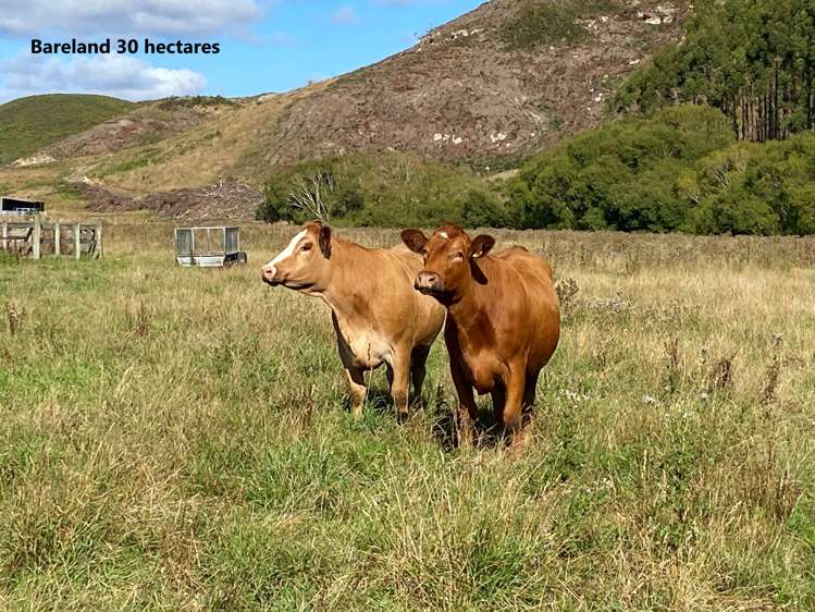 21 Patterson Road Palmerston_8