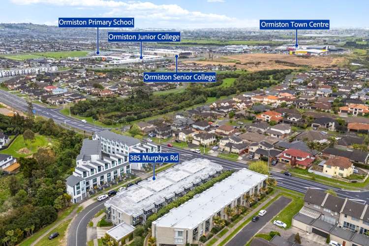 385 Murphys Road Flat Bush_16