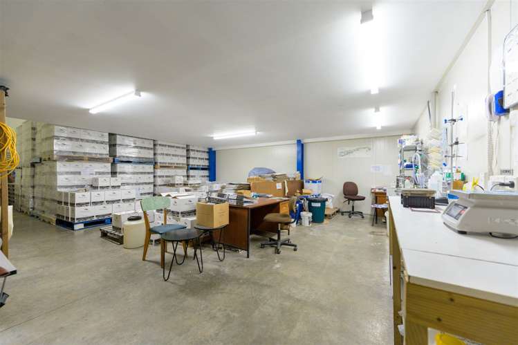 546 Main Road Hope Hope_15