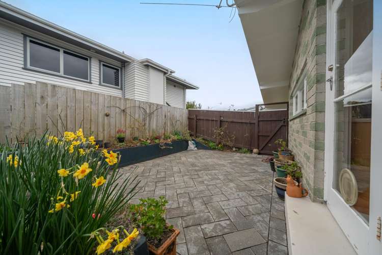 17 Silverbirch Grove Churton Park_13