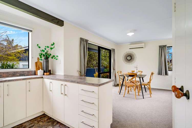 21A Naylor Street Hamilton East_8