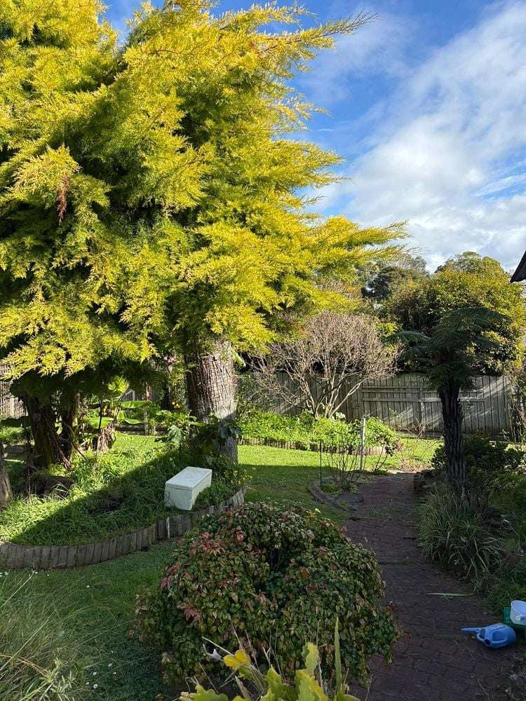 1/3 Tusac Place Totara Vale_14