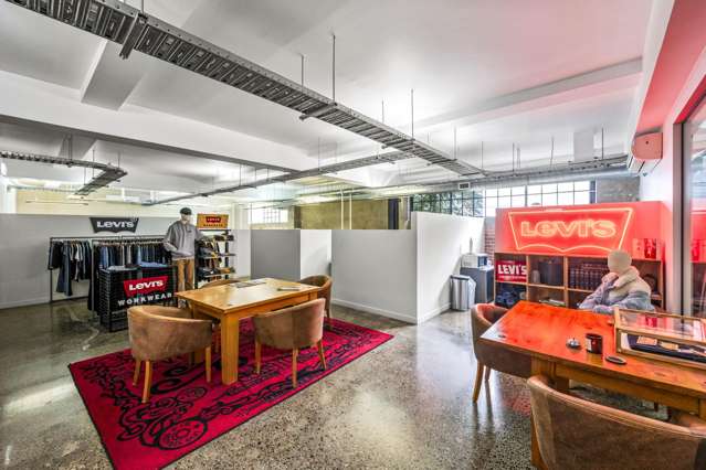 7 Windsor Street and 1I Ruskin Street Parnell_4