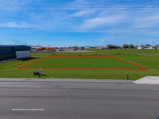 7 Washington Drive Washdyke_3