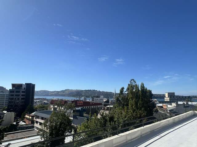 60 Tennyson Street City Centre Dunedin_1