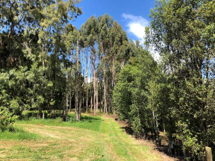 1358 State Highway 14 Maungatapere_15