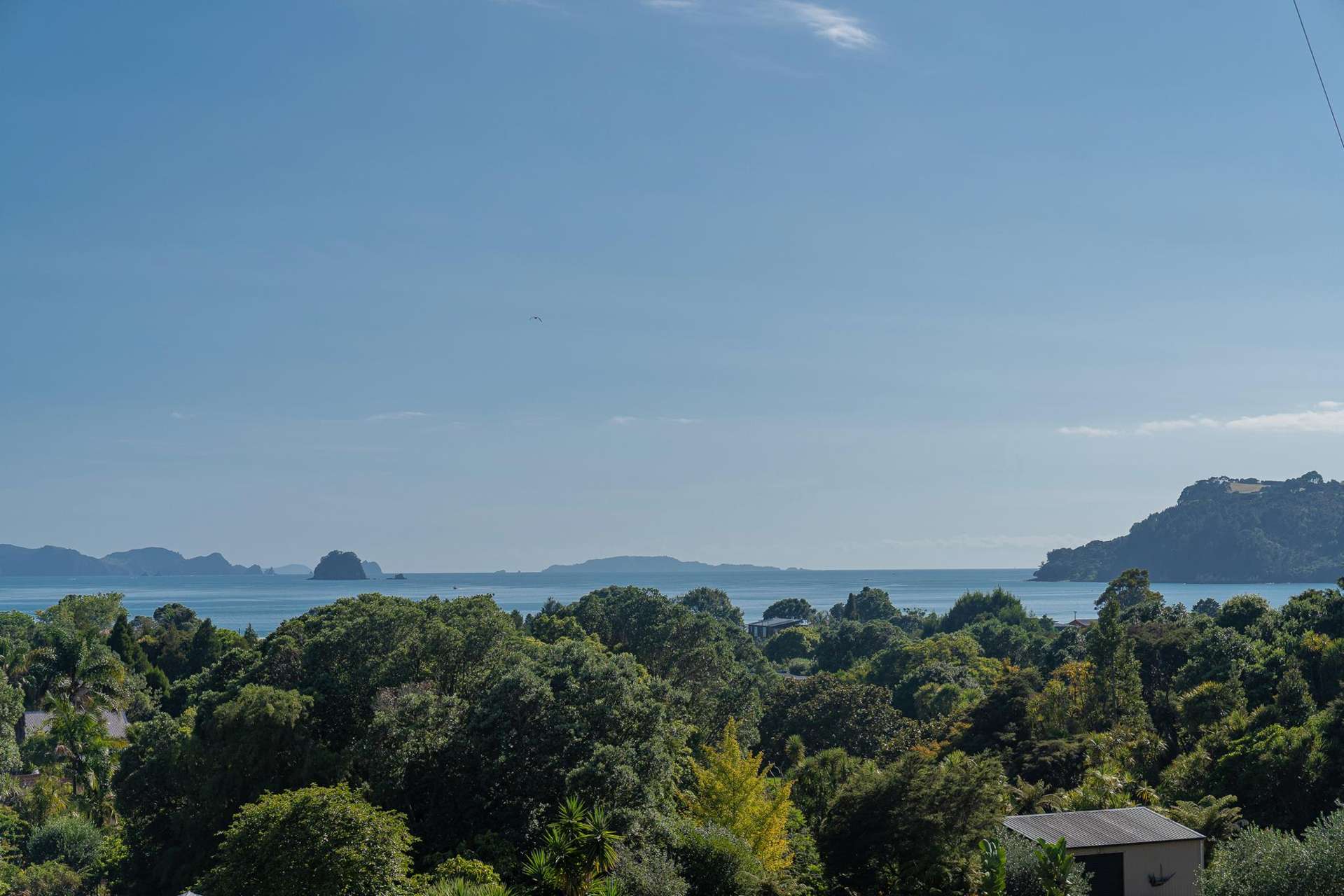 23 Ara Mata Cooks Beach_0