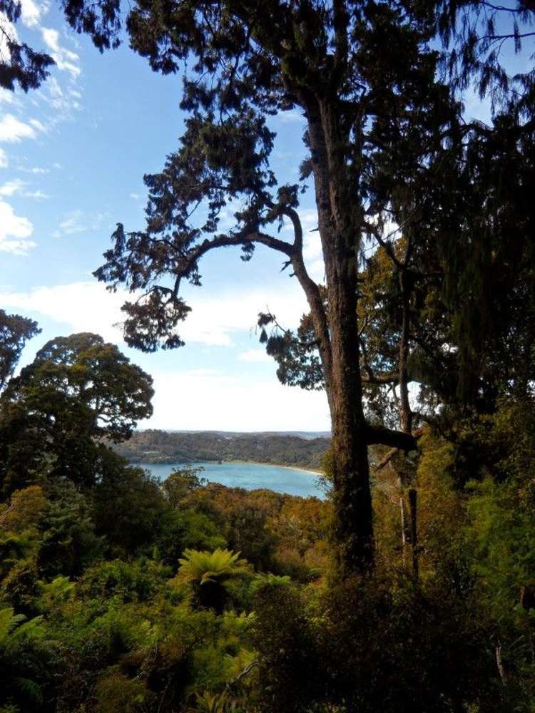361 Back Road Stewart Island/Rakiura_9