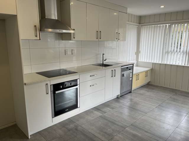 19 Parfitt Street Mount Roskill_4