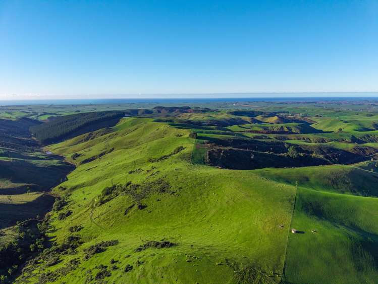 463 Dog Kennel Road Waimate_30