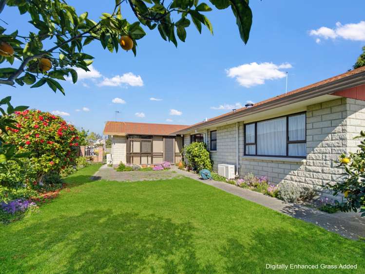 137 Avenue Road Greenmeadows_21