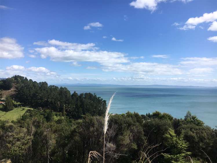 45 Otuturu Crescent Thames_23