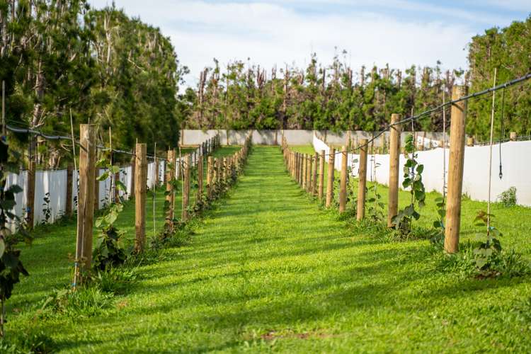 28 Nisbet Road Maungatapere_8