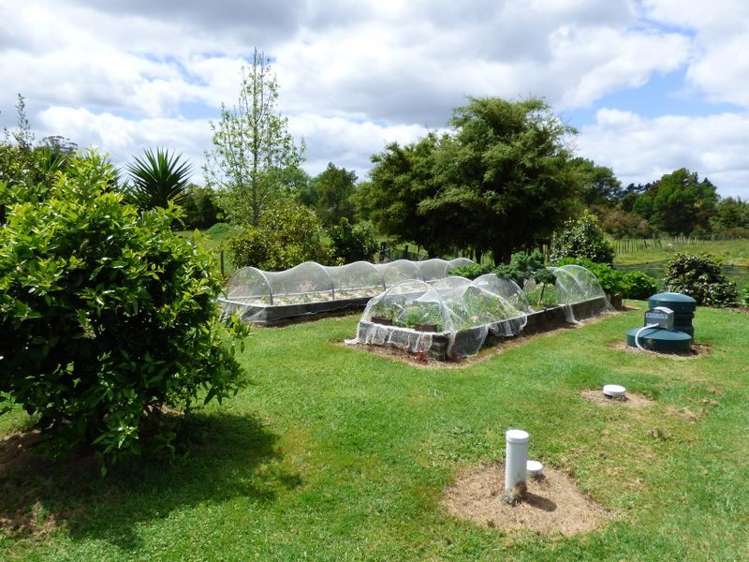 331d Waipapa Road Kerikeri Surrounds_14