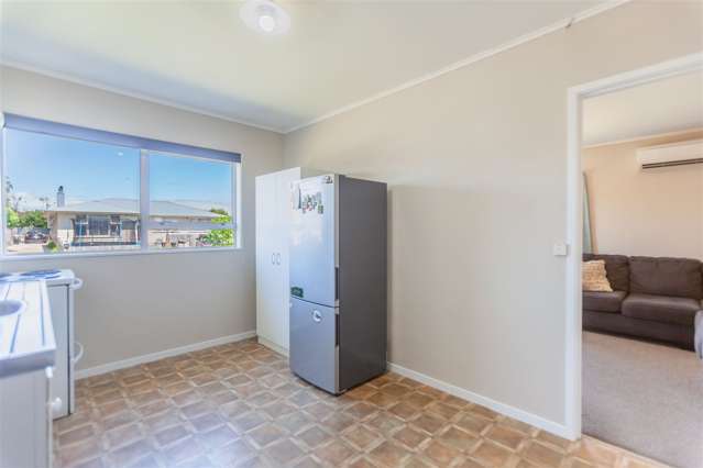 16 Guildford Street Tamatea_4