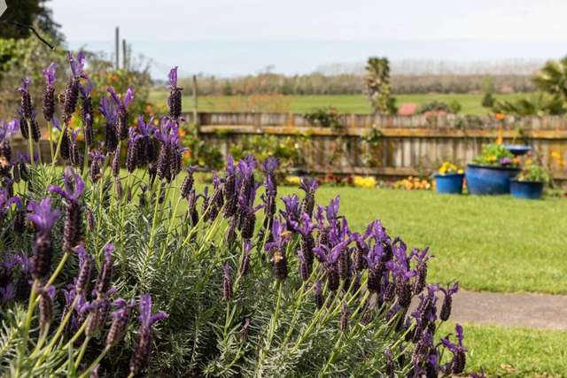 8 Gordon Street Te Puke_2