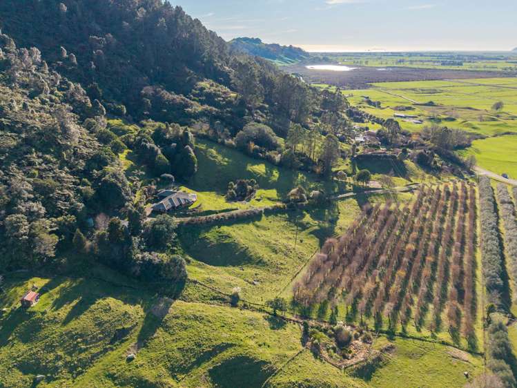 836b Braemar Road Rotoma_44