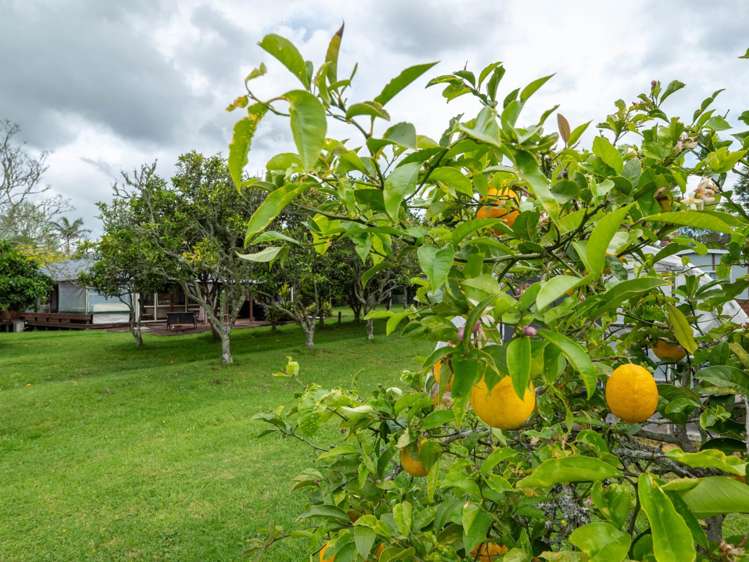 73 Onekura Road Kerikeri_33