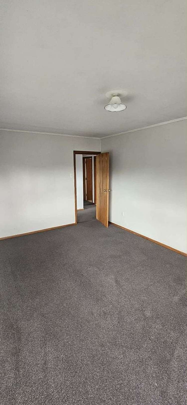 30A Graham Street Hamilton East_11