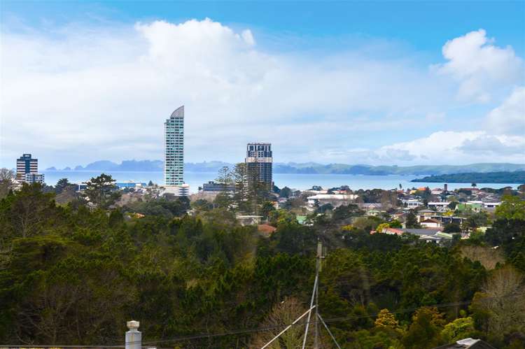 16a Zion Road Birkenhead_19