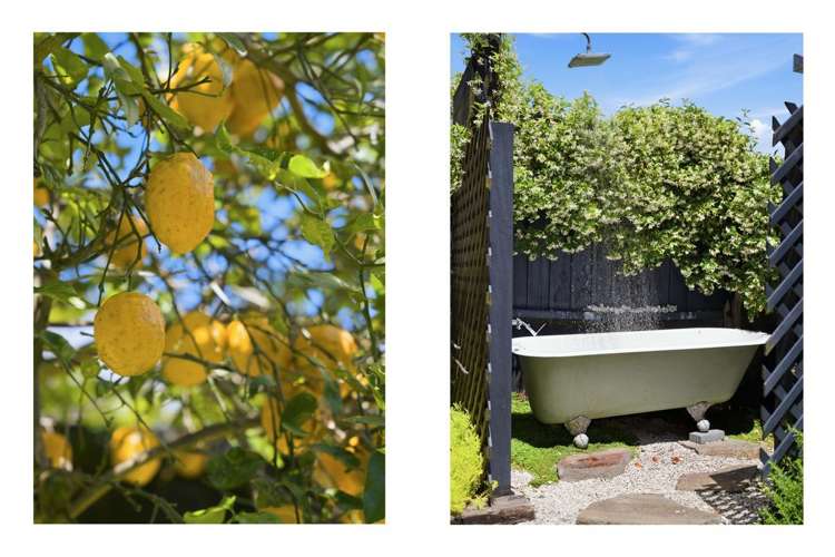 17A Claridge Place Mount Maunganui_15