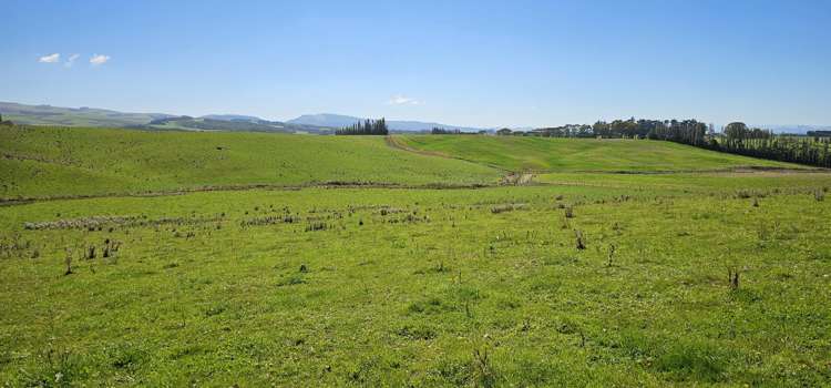 465 Adam Fleming Road Crossans Corner_17