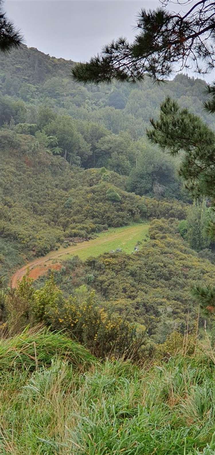 747c No 4 Road Te Puke_12