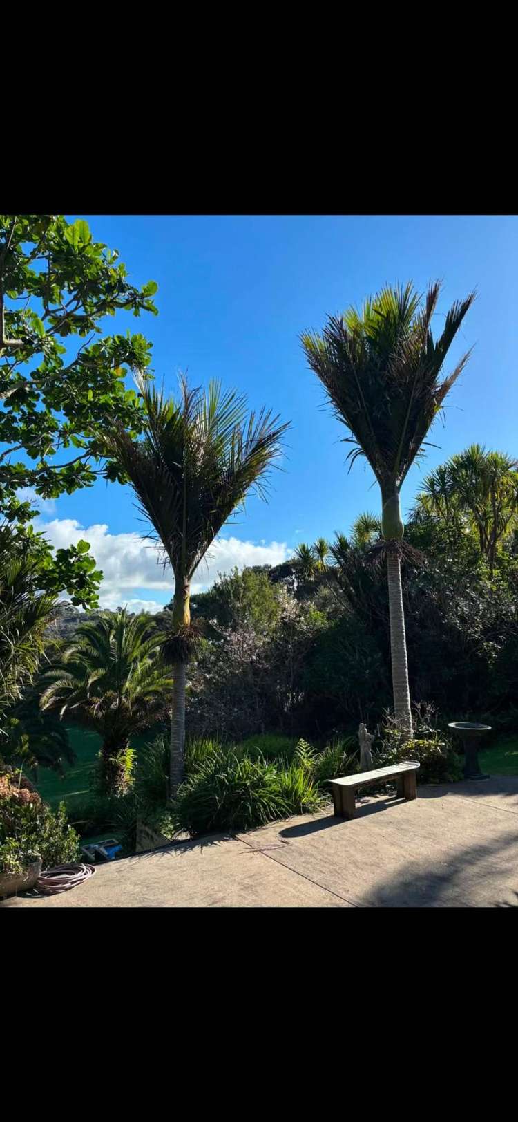 287 Glenvar Road Long Bay_15