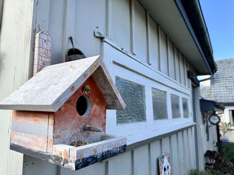 34 Queen Street Dannevirke_19