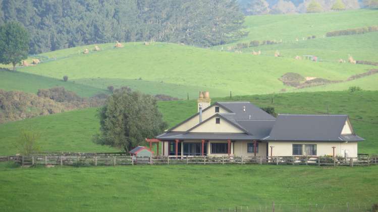 356 Whatauri Road Wharepapa South_14