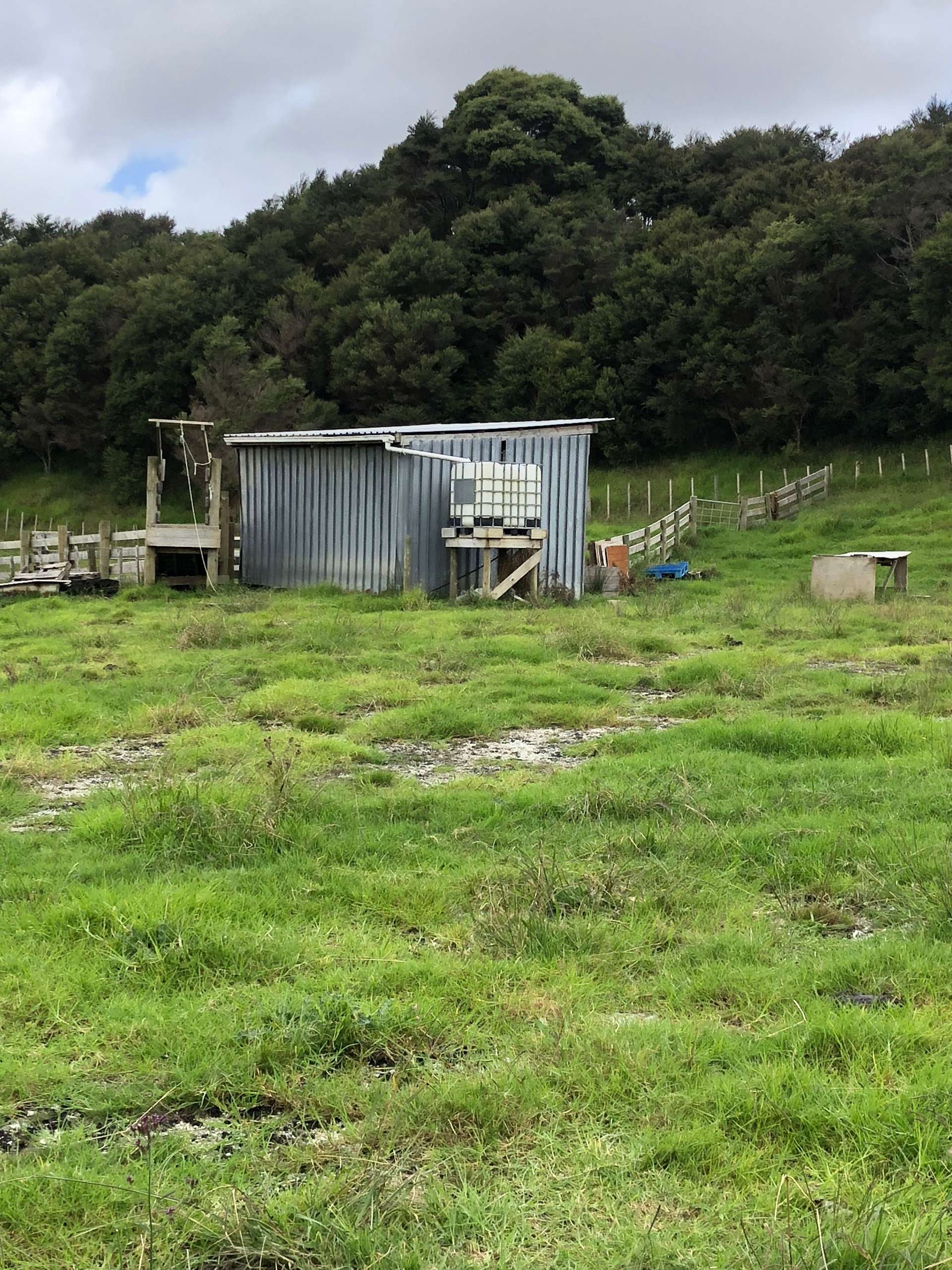 283 J Tolhopf Road Puhoi Rodney Rural Property For Sale One Roof