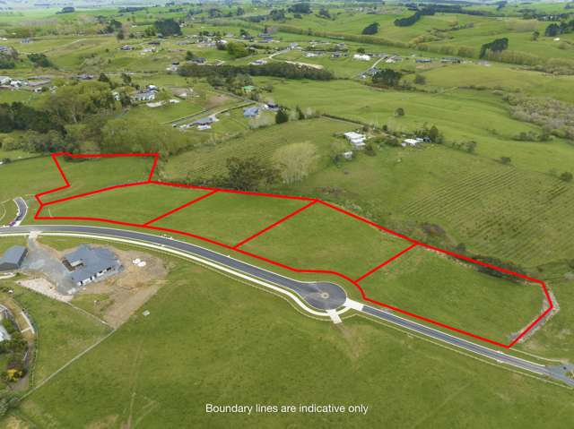 46 Moorfield Road Te Kauwhata_4