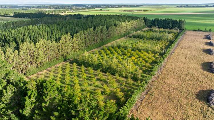 2359 South Eyre Road Eyrewell_15