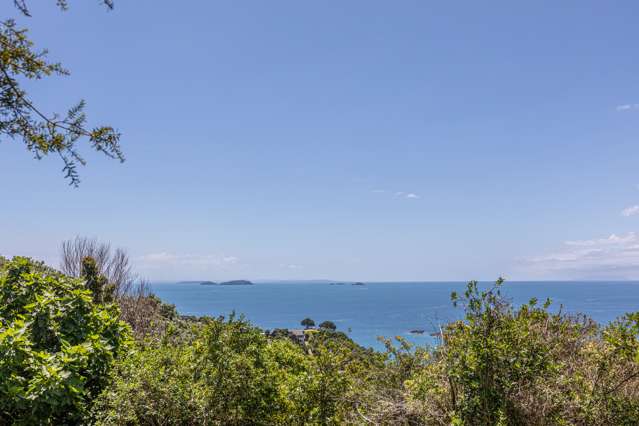 1 Coromandel Road Oneroa_2