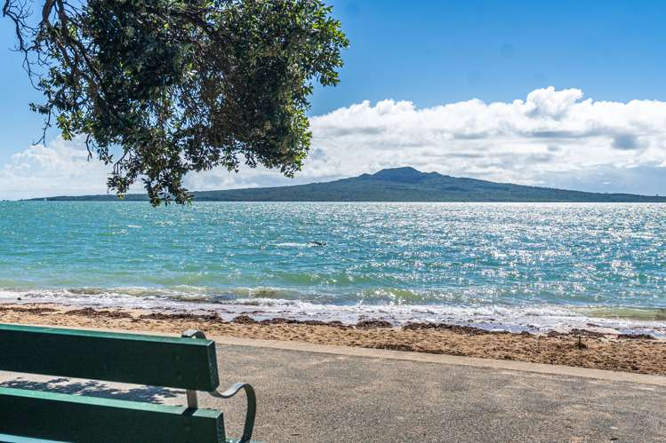 2/103 Vauxhall Road Narrow Neck_14