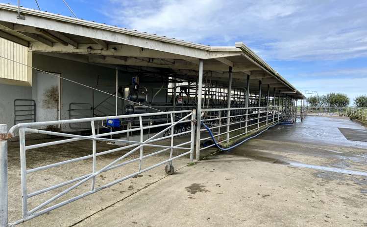 149 Paerewa Road Waverley_6