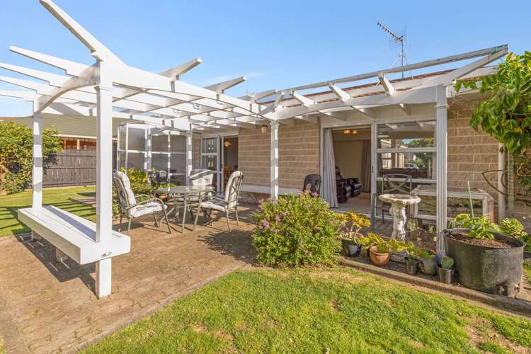 31 Burn Street Levin_3