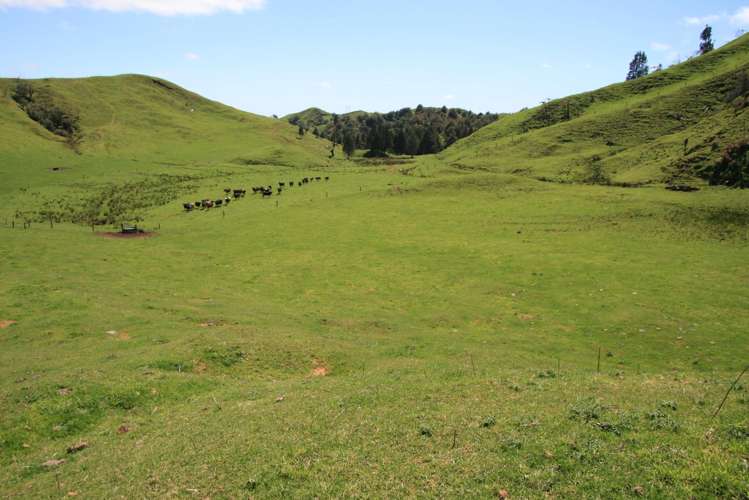 318 Kupara Road Tariki_19