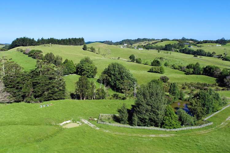 Monowai Road Wainui_6