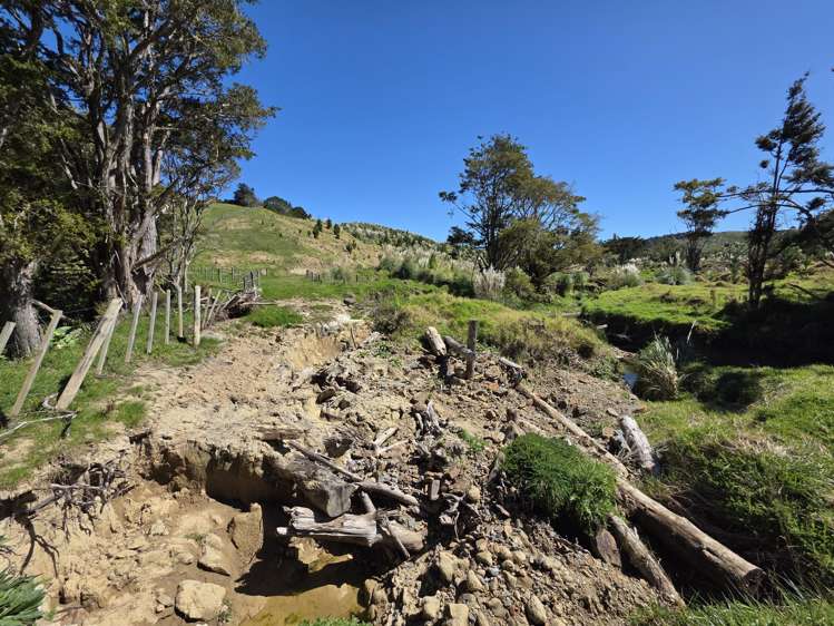 Arcadia Road Paparoa_7