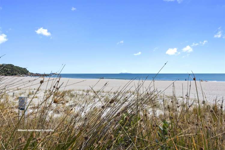 44a Orkney Road Mount Maunganui_24