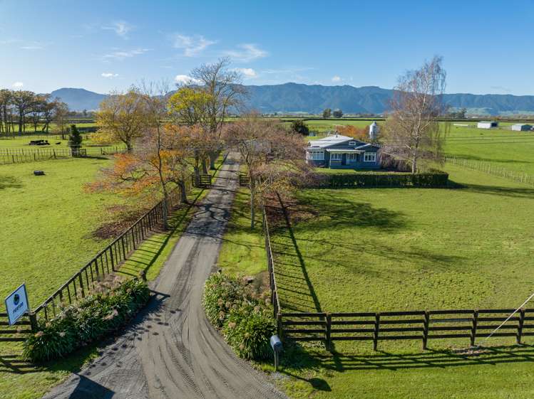 1463 Alexandra Road Waharoa_15