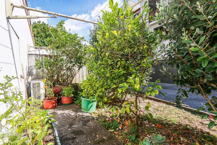 123 Howe Street Freemans Bay_12