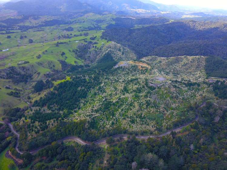 Lot 2 Waiotehue Road Broadwood_8