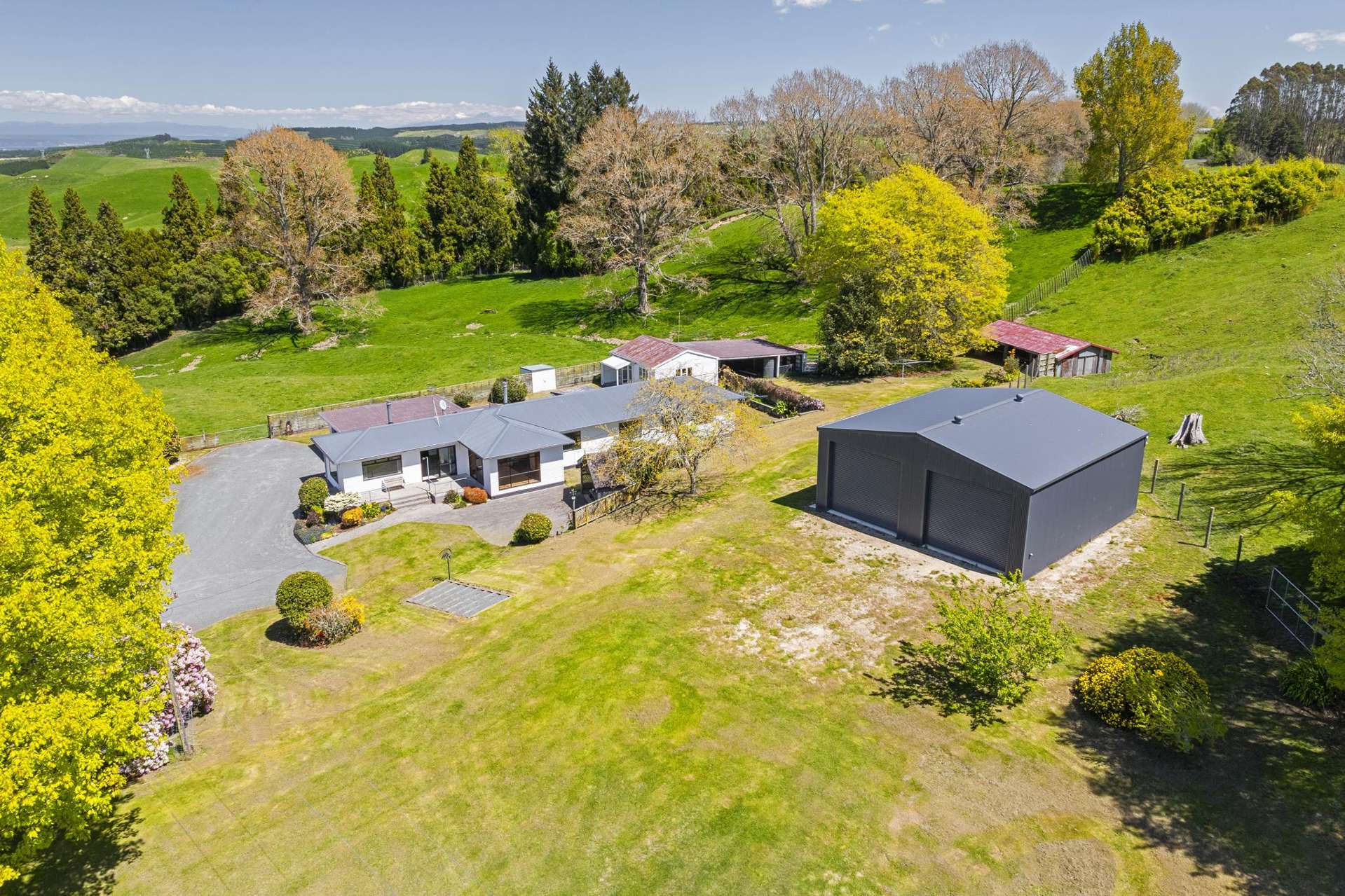 344 Palmer Mill Road Wairakei_0