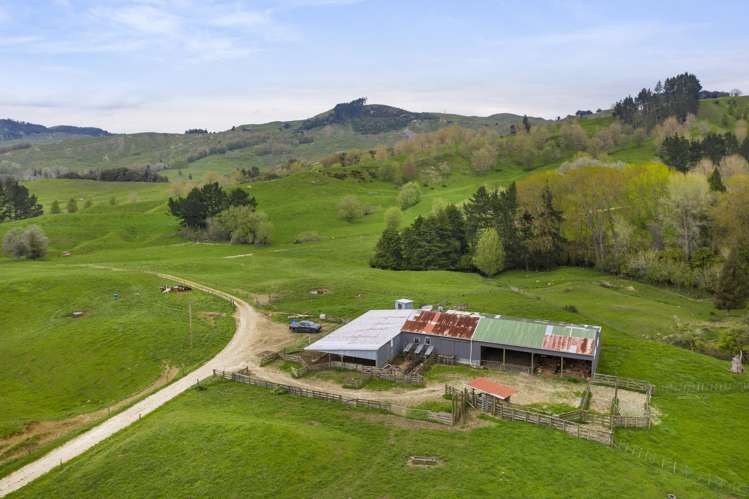 386 Troopers Road Te Kuiti_22