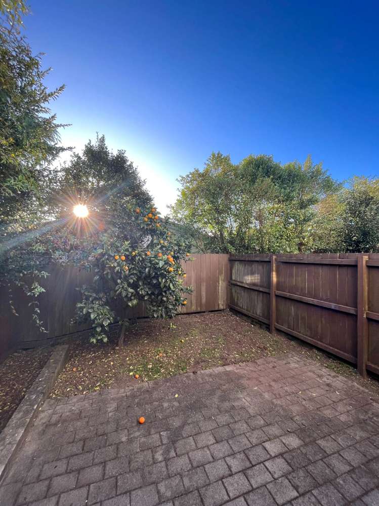 11/955 Mount Eden Road Three Kings_3