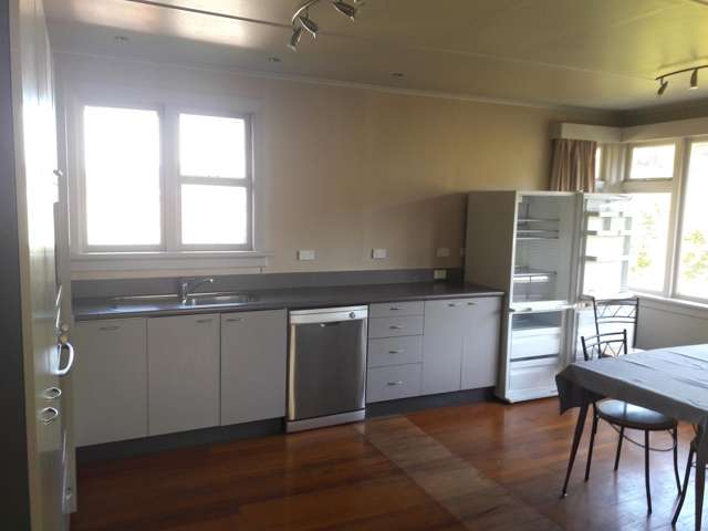 16 Craigleith Street North East Valley_3