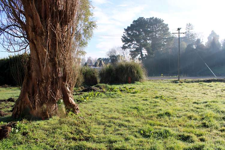 Salcombe Street Kaitangata_6