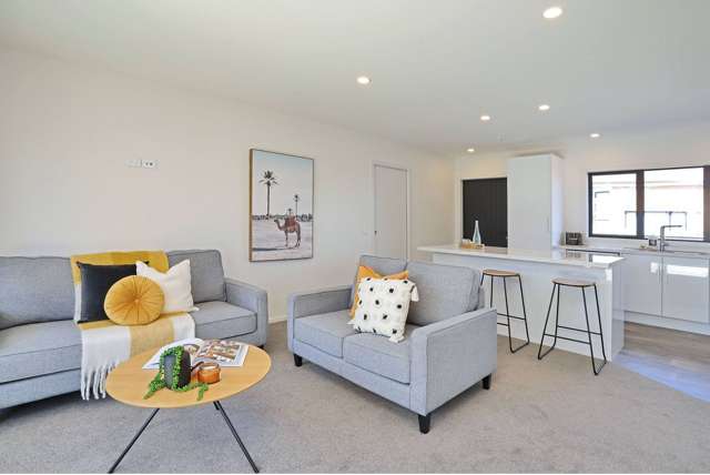 29 Nelson Street Georgetown_1